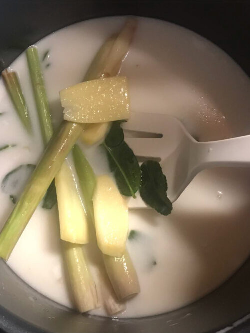 Tom Kha Vegan in je pannetje - KOOK DAN