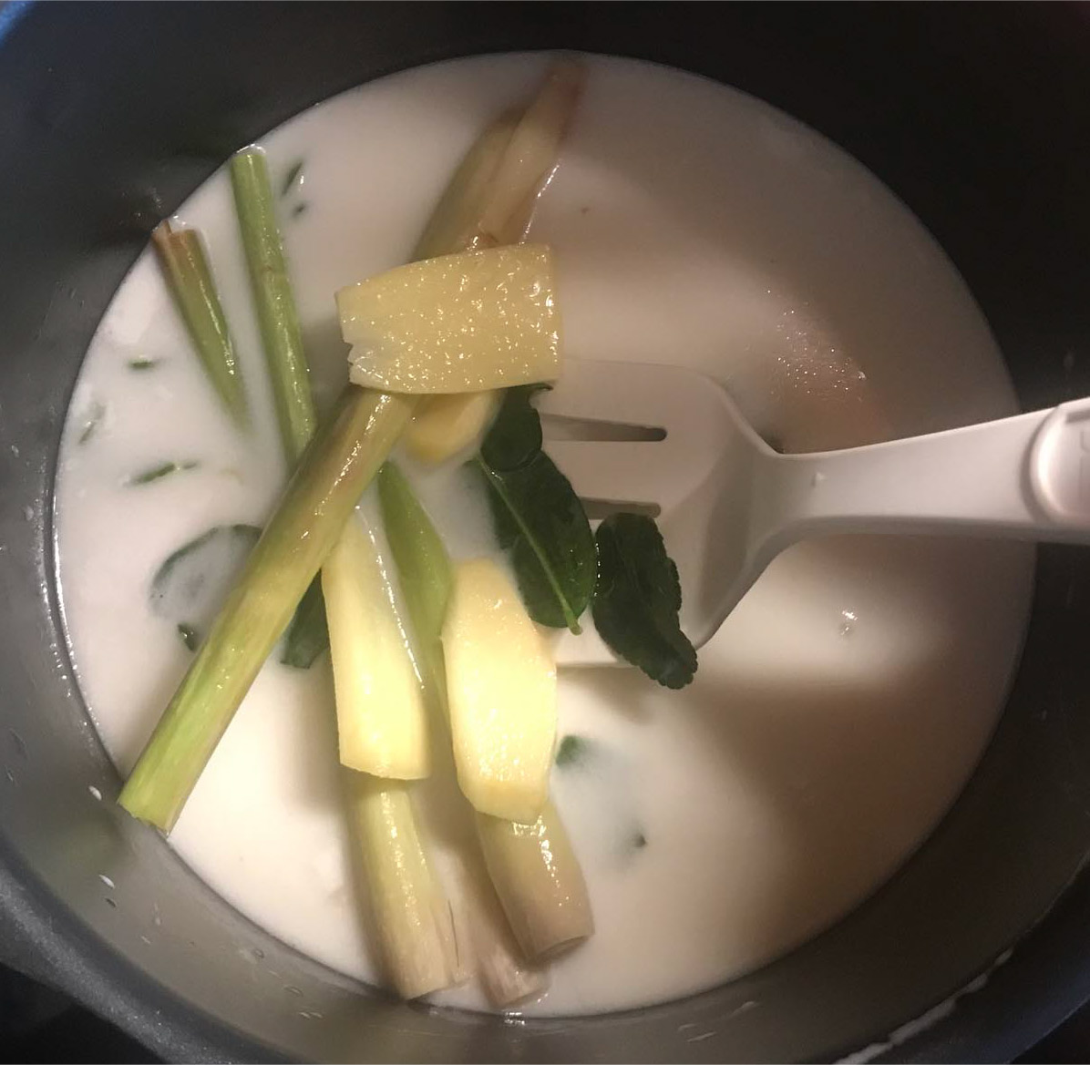 Tom Kha Vegan in je pannetje - KOOK DAN